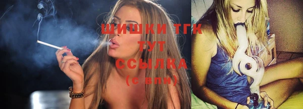 шишки Снежинск
