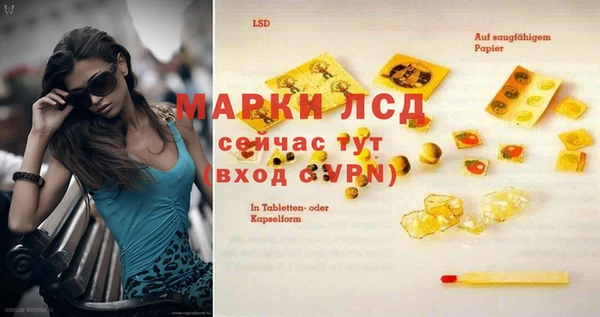spice Беломорск