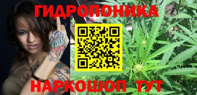гашик Анапа