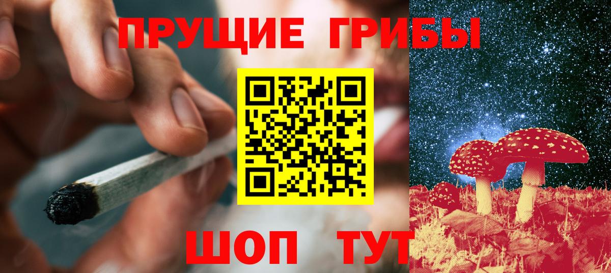 Псилоцибиновые грибы Psilocybine cubensis Воскресенск