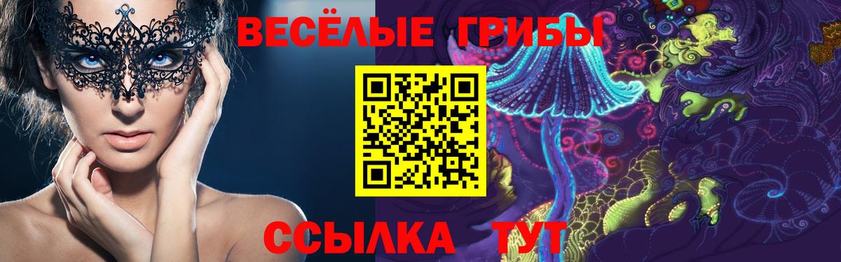 Псилоцибиновые грибы Cubensis  Вход с VPN  Воскресенск 